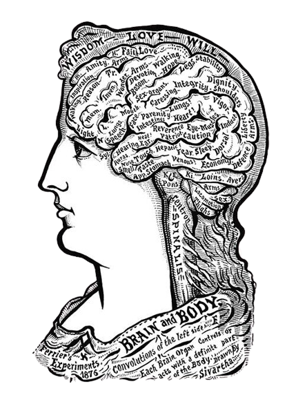 Building a Personal Knowledge System with Obsidian